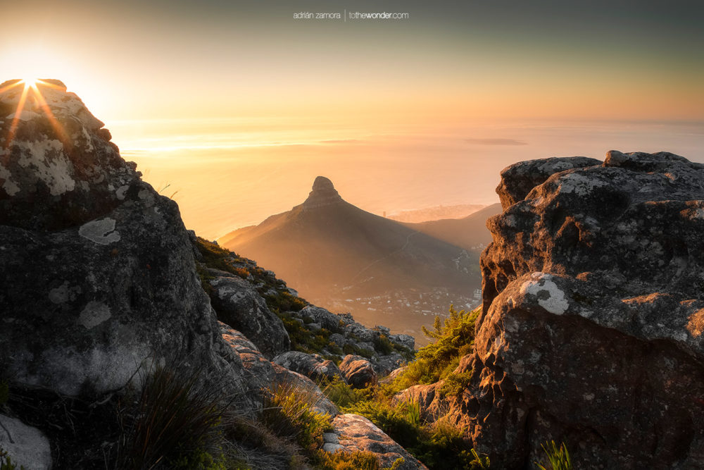 ToTheWonder Photography Workshop Tour Photo Costa Rica Nature Luis Solano Pochet Fotografía Taller Adrian Zamora Cordero