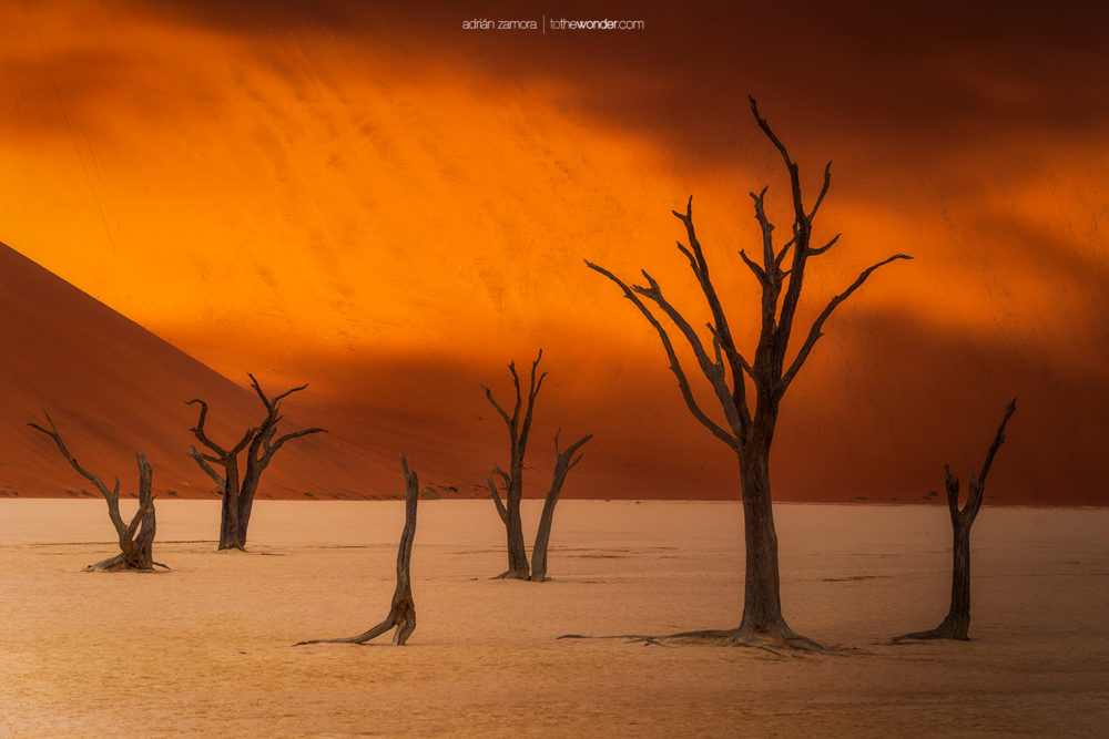 ToTheWonder Photography Workshop Tour Photo Costa Rica Nature Luis Solano Pochet Fotografía Taller Adrian Zamora Cordero